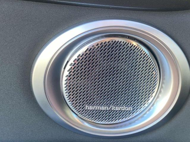 Photo of 2024 8 BALL Dodge Hornet