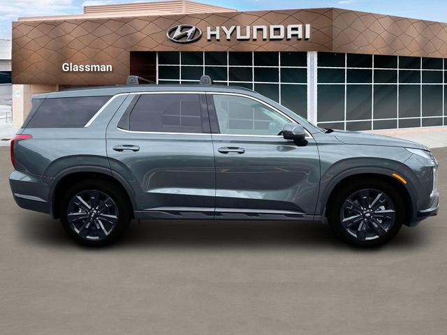Photo of 2025 Steel / Graphite Hyundai PALISADE