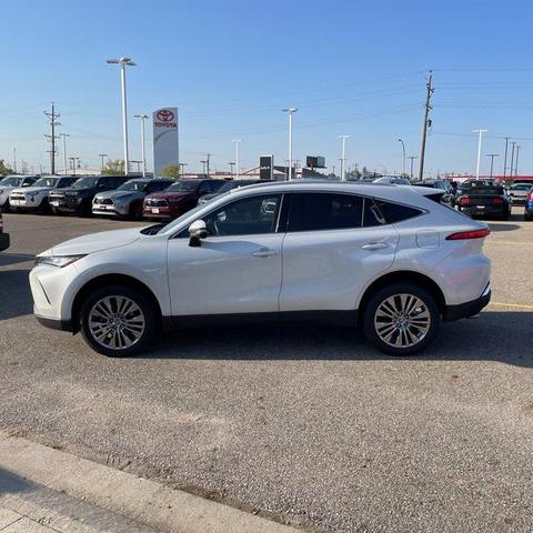 Photo of 2023 Wind Chill Pearl Toyota Venza