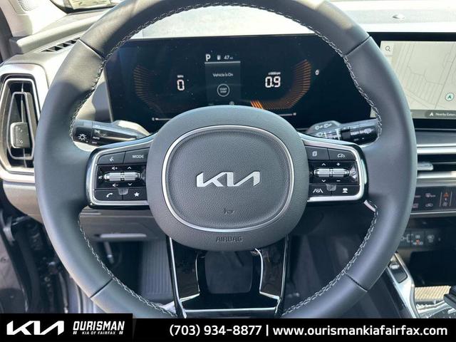 Photo of 2025 Panthera Metal Kia Sorento