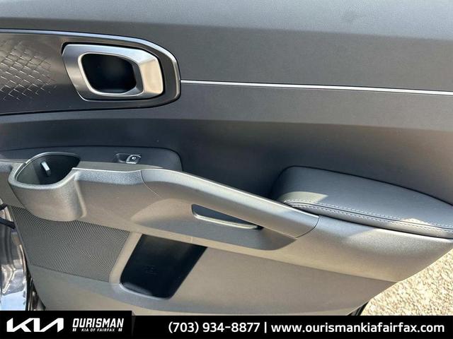 Photo of 2025 Panthera Metal Kia Sorento