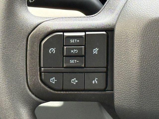 Photo of 2025 Gray Ford F-250