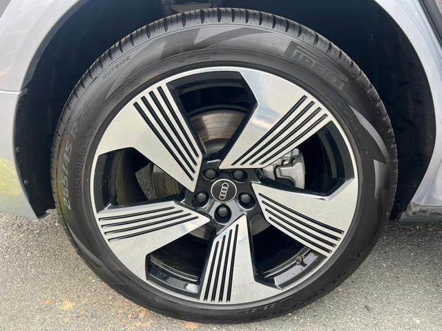 Photo of 2021 Florett Silver Audi e-tron Sportback
