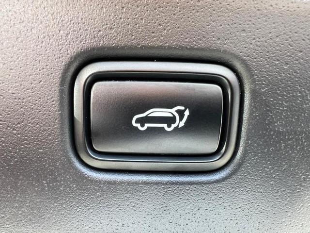 Photo of 2023 Cityscape Green Kia Niro EV