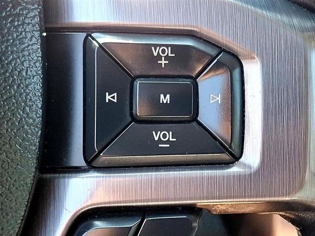 Photo of 2019 Magnetic Metallic - J7 Ford Expedition