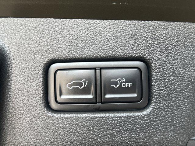 Photo of 2023 Dark Moss Kia Telluride
