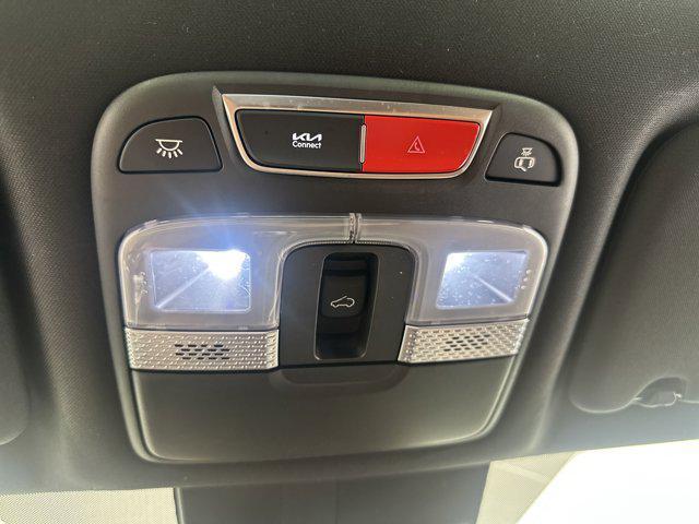 Photo of 2023 Dark Moss Kia Telluride