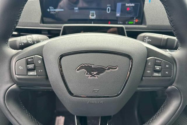 Photo of 2025 Glacier Gray Metallic TriCoat Ford Mustang Mach-E