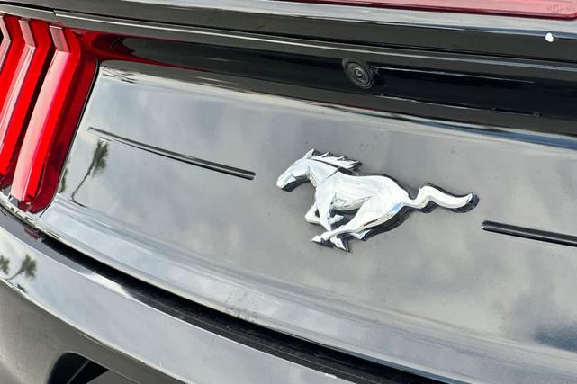 Photo of 2020 Shadow Black Ford Mustang