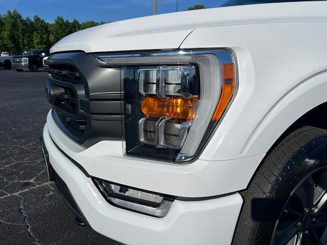Photo of 2023 Oxford White Ford F-150