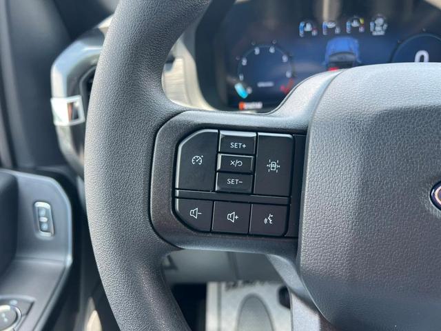 Photo of 2025 Carbonized Gray Metallic Ford F-150