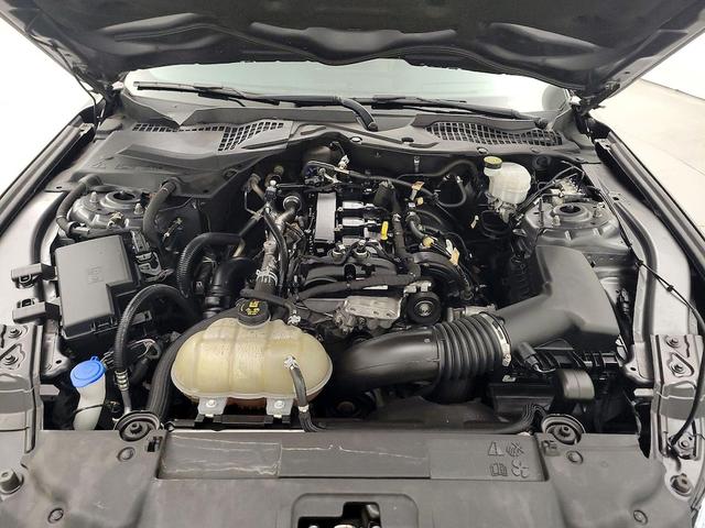 Photo of 2021 Gray Ford Mustang