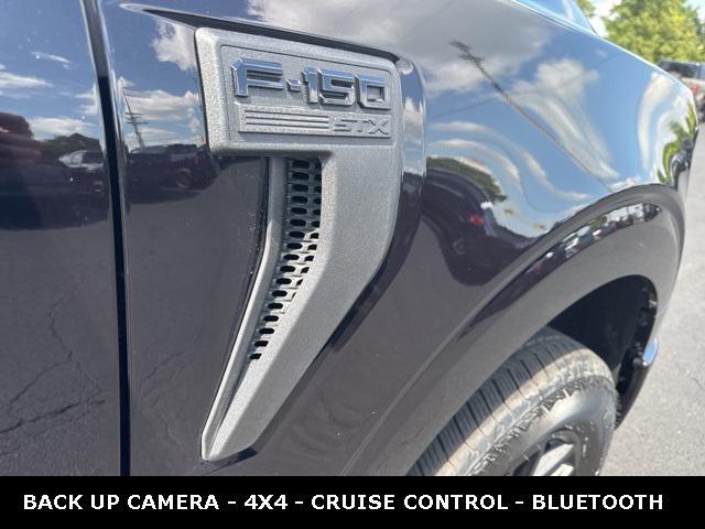 Photo of 2025 Agate Black Metallic Ford F-150