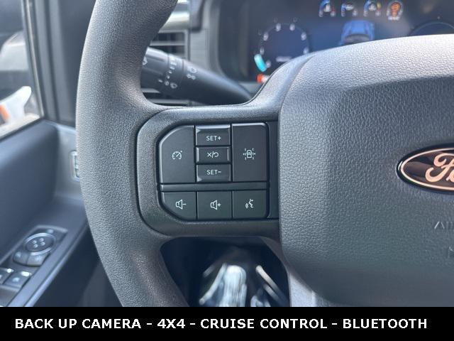 Photo of 2025 Agate Black Metallic Ford F-150