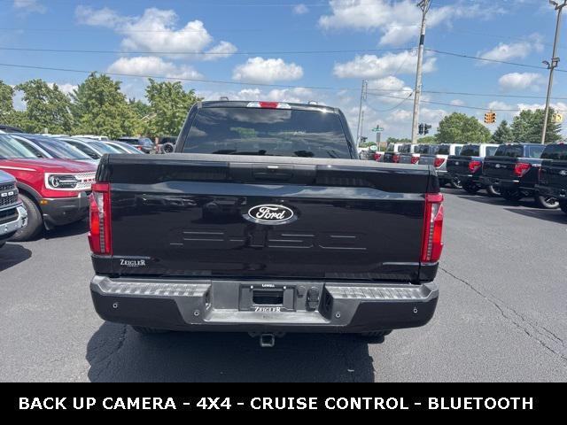 Photo of 2025 Agate Black Metallic Ford F-150