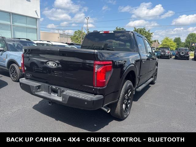 Photo of 2025 Agate Black Metallic Ford F-150
