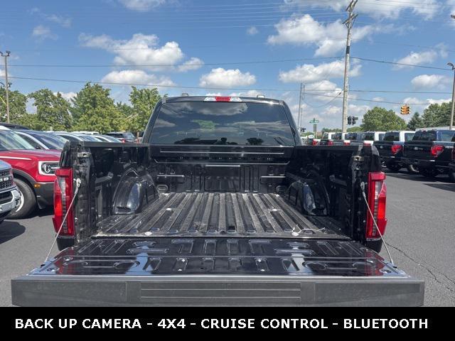Photo of 2025 Agate Black Metallic Ford F-150