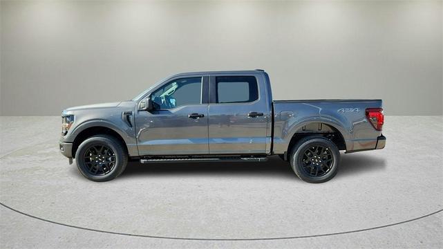 Photo of 2025 Gray Metallic Ford F-150