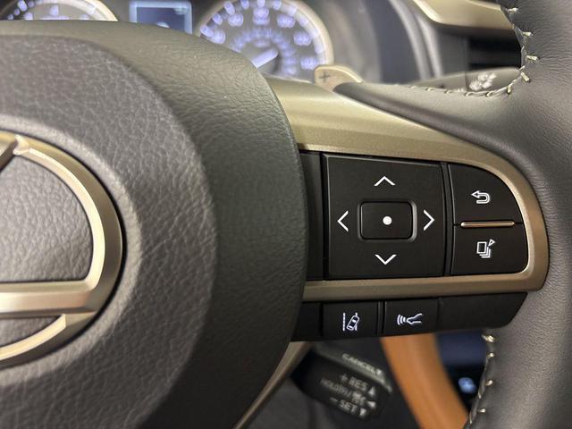 Photo of 2022 Matador Red Mica Lexus RX 350