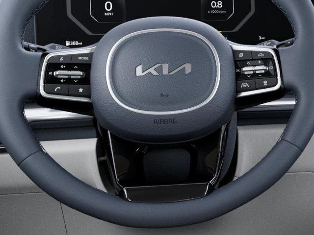 Photo of 2026 Metal Kia Carnival