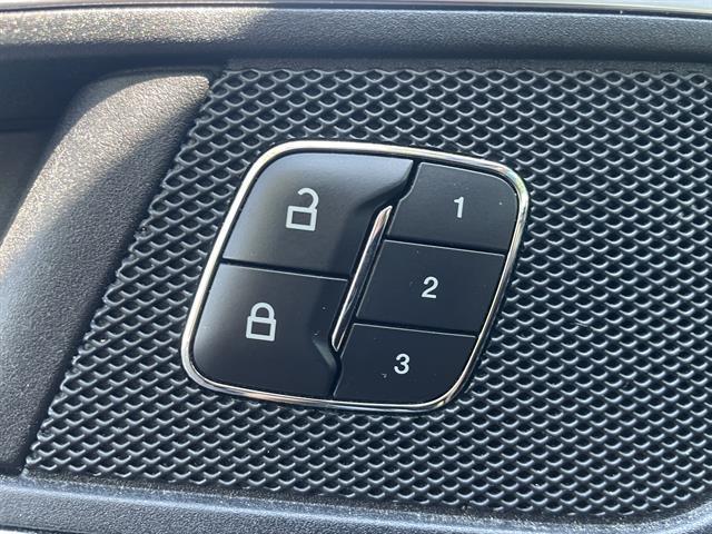 Photo of 2018 Magnetic Ford Edge