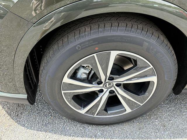 Photo of 2025 Nori Green Pearl Lexus RX 350