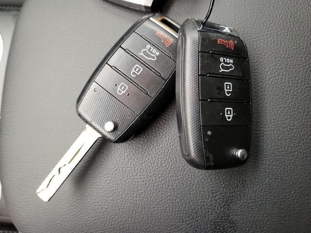 Photo of 2019 Purple Kia Sorento