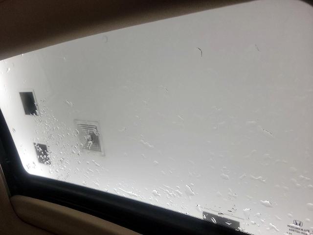 Photo of 2013 White Honda Accord