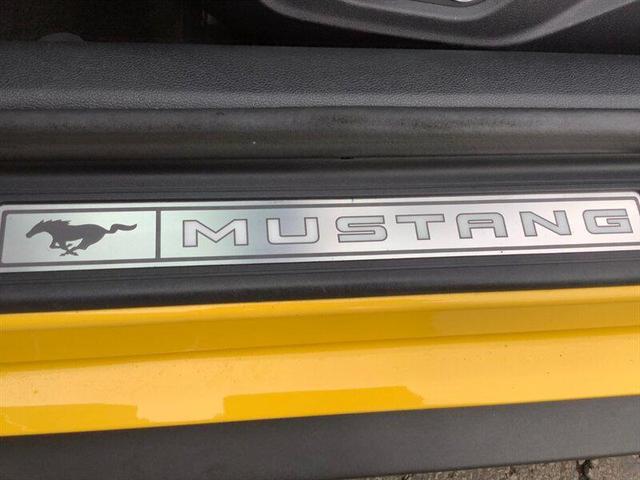Photo of 2018 Triple Yellow Tri-Coat Ford Mustang