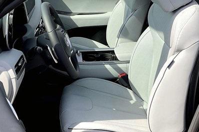 Photo of 2025 Typhoon Silver Hyundai PALISADE