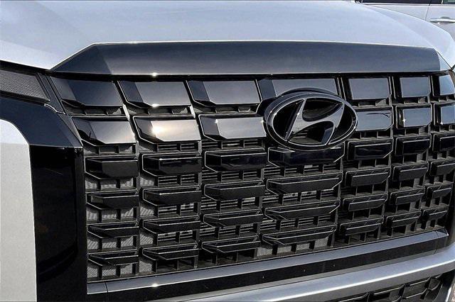 Photo of 2025 Typhoon Silver Hyundai PALISADE