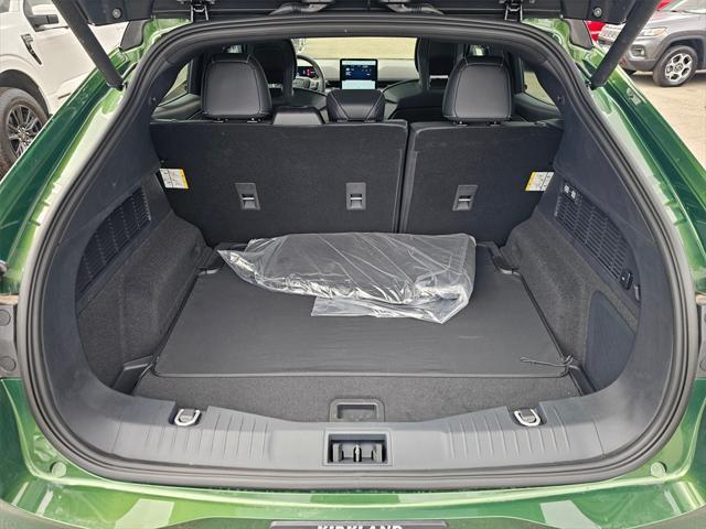 Photo of 2025 Eruption Green Metallic Ford Mustang Mach-E