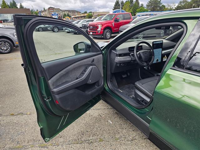 Photo of 2025 Eruption Green Metallic Ford Mustang Mach-E
