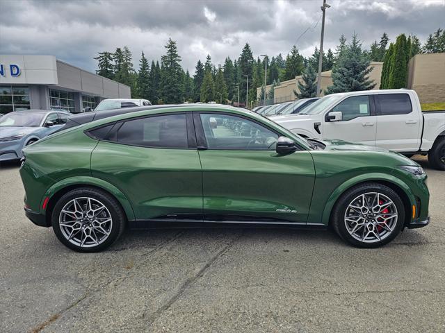 Photo of 2025 Eruption Green Metallic Ford Mustang Mach-E