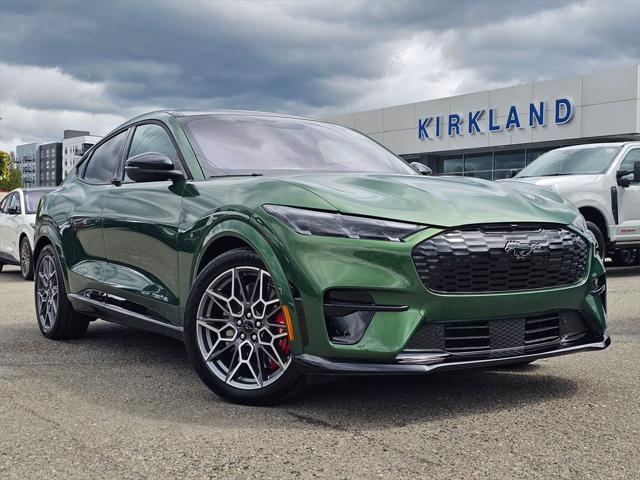 Photo of 2025 Eruption Green Metallic Ford Mustang Mach-E