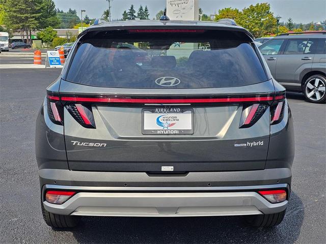 Photo of 2025 Amazon Gray Hyundai TUCSON Hybrid