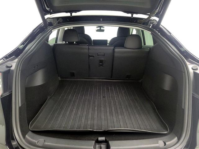 Photo of 2021 Black Tesla Model Y
