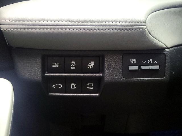Photo of 2019 Blue Toyota Avalon