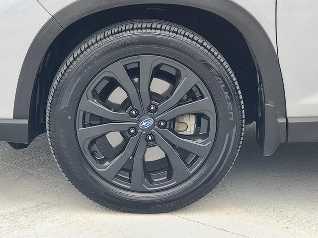 Photo of 2023 Ice Silver Subaru Forester