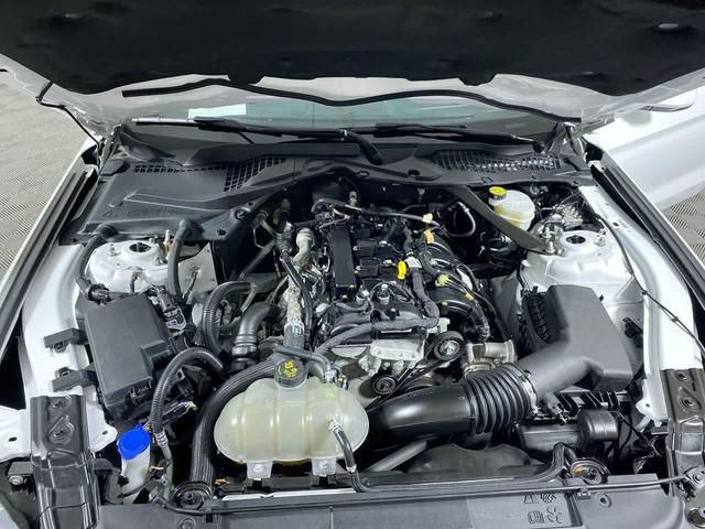 Photo of 2023 OXFORD WHITE Ford Mustang
