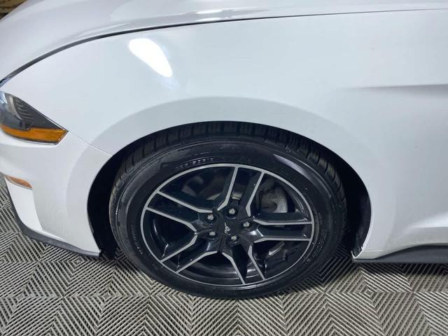 Photo of 2023 OXFORD WHITE Ford Mustang