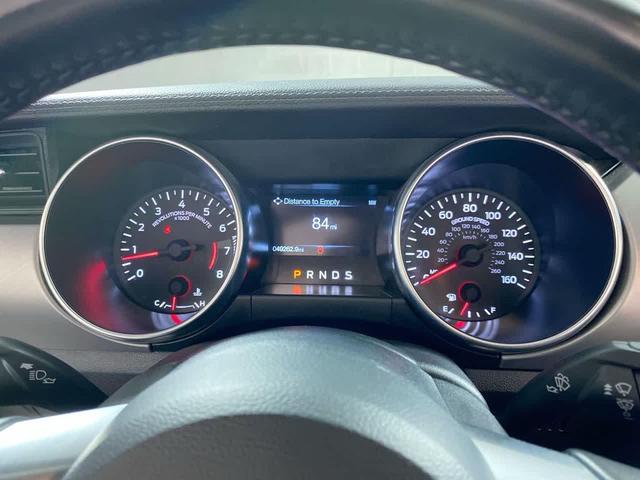Photo of 2023 OXFORD WHITE Ford Mustang