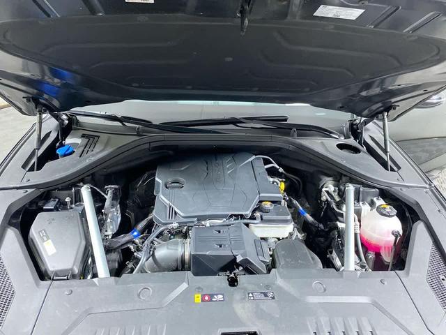 Photo of 2025 Vik Black Genesis GV70