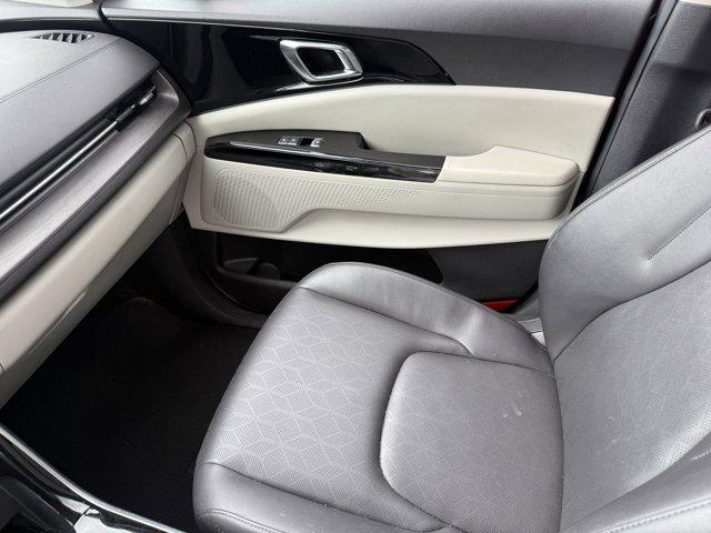Photo of 2024 Flare Red Kia Carnival