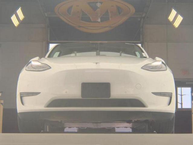 Photo of 2021 Pearl White Multi-Coat Tesla Model Y