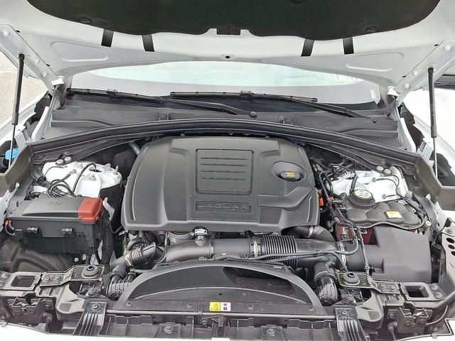 Photo of 2026 Fuji White Jaguar F-PACE