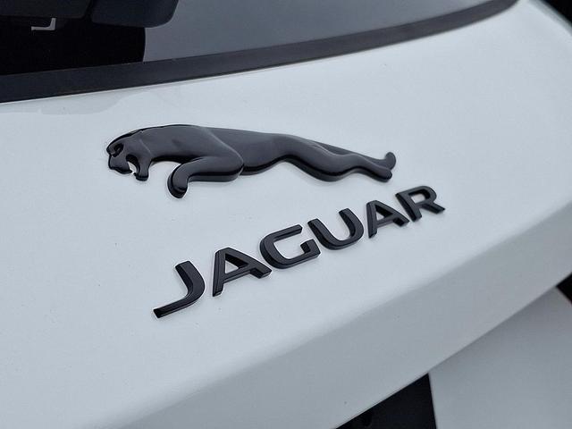 Photo of 2026 Fuji White Jaguar F-PACE