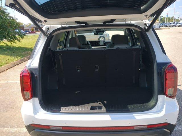 Photo of 2024 Hyper White Hyundai PALISADE