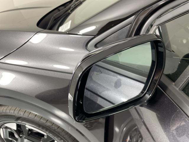 Photo of 2026 Panthera Metal Kia Carnival