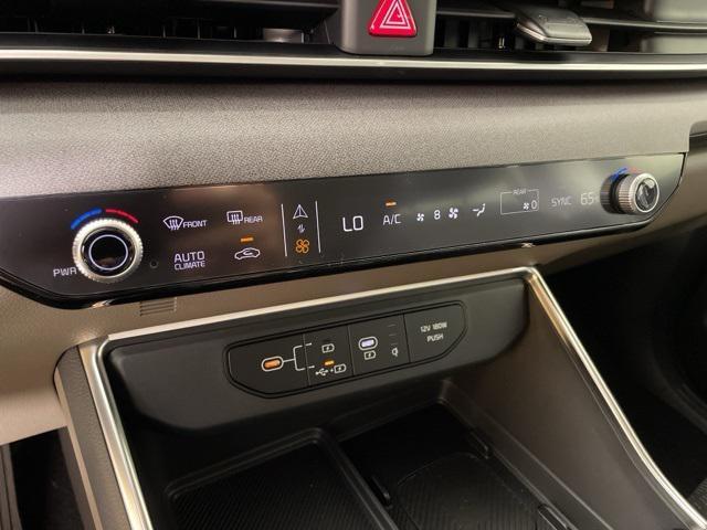 Photo of 2026 Panthera Metal Kia Carnival